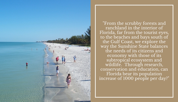 From the scrubby forests and ranchland in the interior of Florida, far from the tourist eyes, to the beaches and bays south of the Gulf Coast, we explore the way the Sunshine State balan